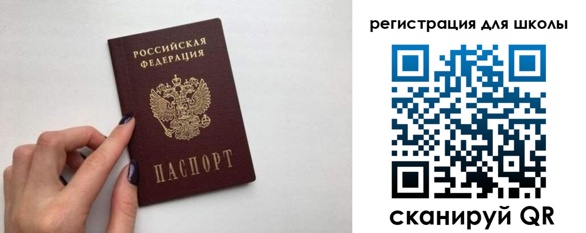 прописка поиск в Полярных Зорях